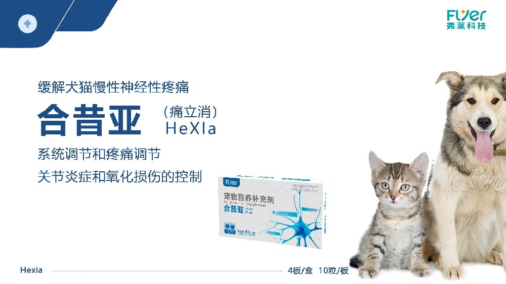 Flyer品牌-合昔亚（痛立消） HeXIa 产品展示