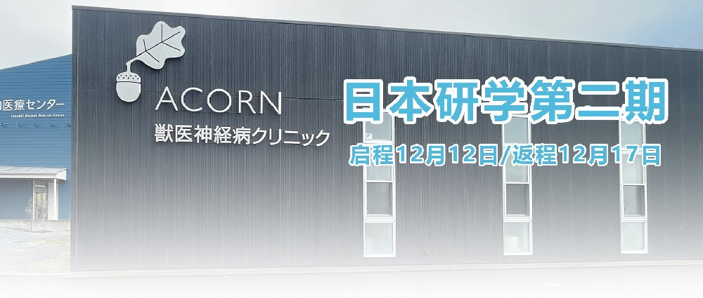 日本研学第二期来啦！小动物神经/脑部诊疗技术研修再度启程