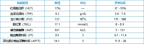 1762225073147690.png b9a836ec-fc0b-4f2a-b1b5-c705d5952c1f.png