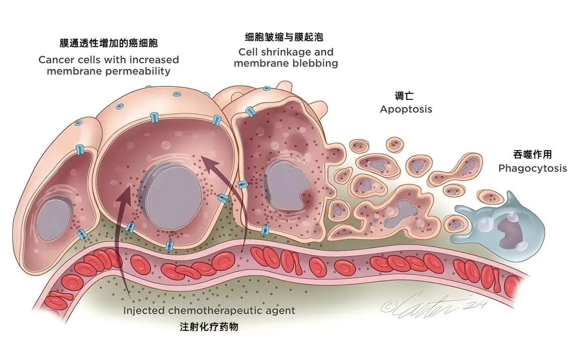 1762225740190881.jpg 949fca209bc599793bc906e7fdade673.jpg