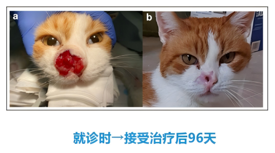 1762225755122504.png 2afdb811cec0903f209e328751b49f3e.png