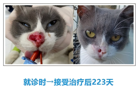 1762225761181364.png b8463014b540bc49588485b81f8cc7d2.png