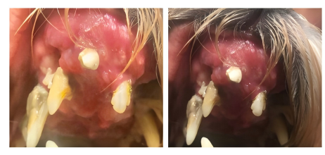 1762225789191178.png 398d0ab29f0e9def42559c8ccbc8507f.png