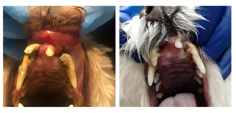 1762225796323233.png e8a6855f8a9505714567f8dd3d6fb550.png