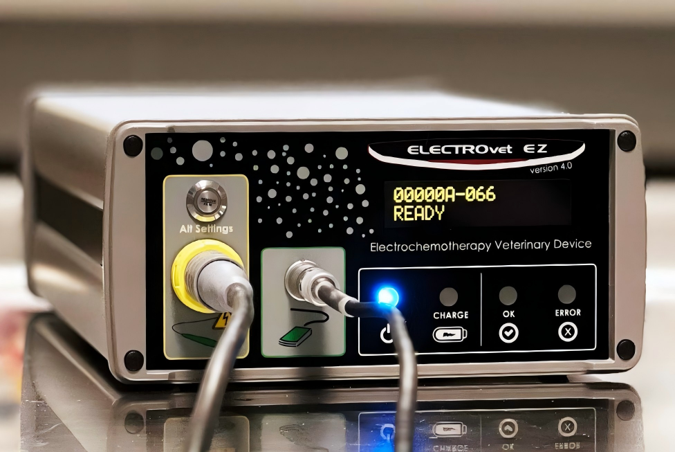 1762225812365935.png 53bb68a2033ed605707f2524d3c73c87.png