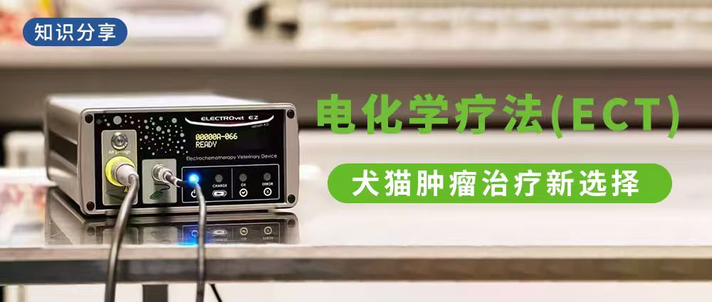 知识分享| 电化学疗法（ECT）——犬猫肿瘤治疗新选择