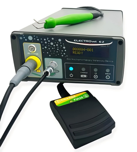 1762237206180147.png WPS图片(1).png